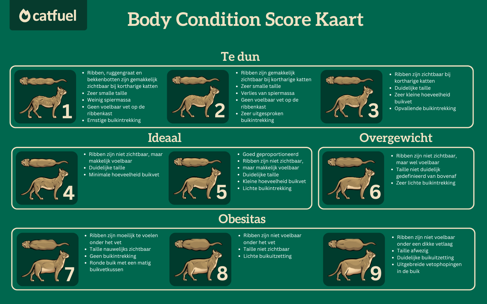 Body Condition Score Kaart katten Catfuel