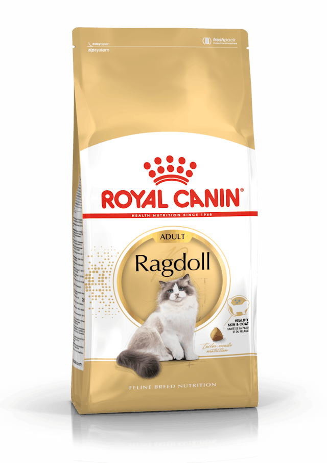 Royal Canin Ragdoll droogvoer voor katten