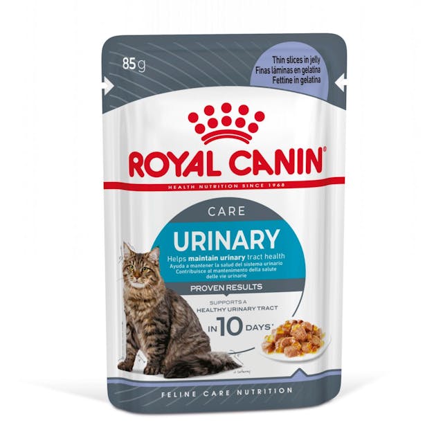 Royal Canin in Jelly (natvoer) voor katten